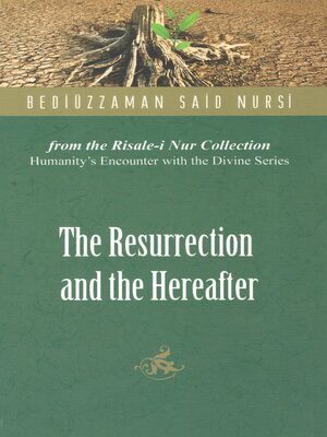 cover image of The Resurrection and the Hereafter